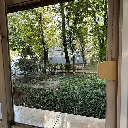 Soseaua Oltenitei *